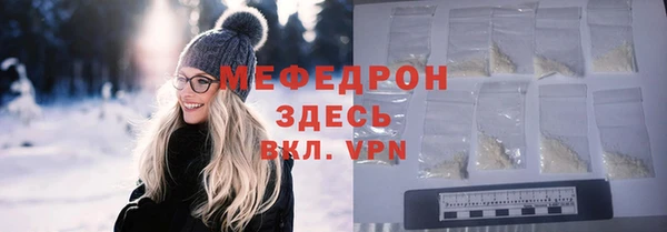 индика Богородск