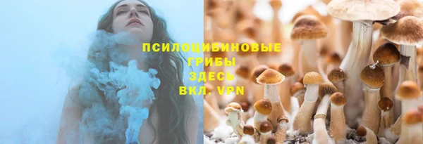 ECSTASY Волоколамск
