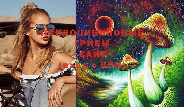 дмт Медвежьегорск
